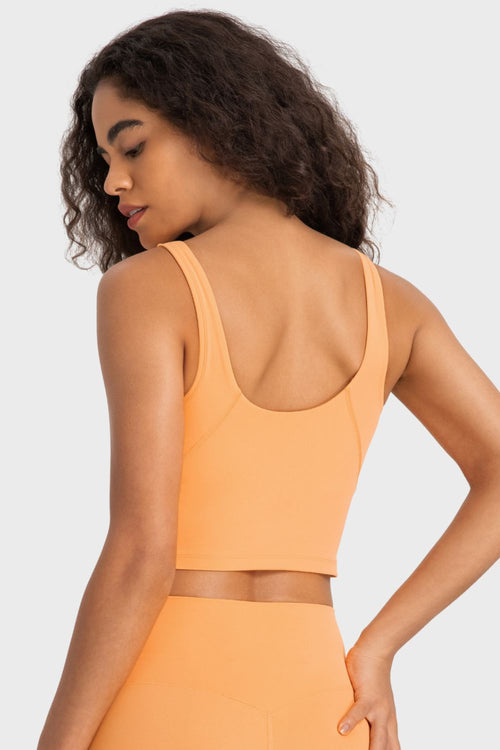 Deep V-Neck Crop Sports Bra